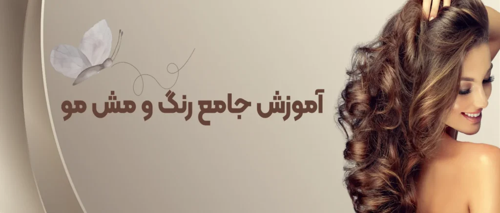 آموزش جامع رنگ و مش مو