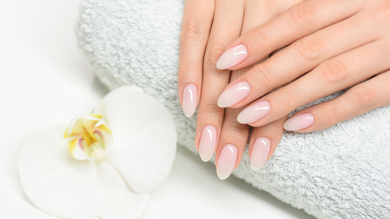 ژلیش یا لمینت ناخن؟ بررسی مزایا و معایب برای خانم‌های شاغل